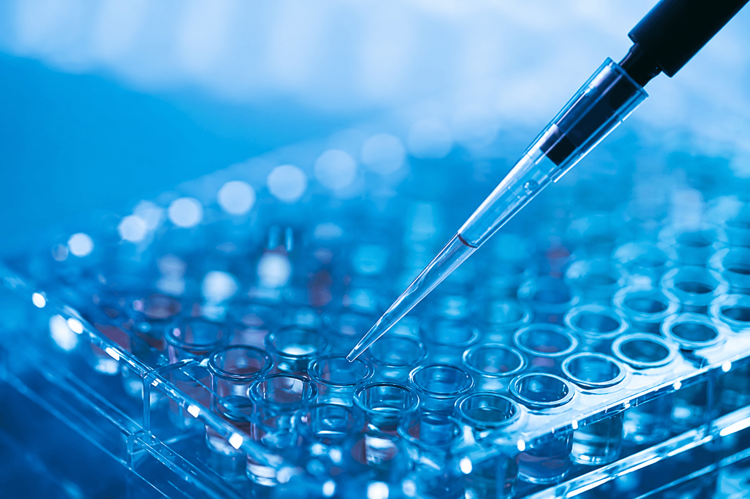 Pipetting a sample into a multi-well plate